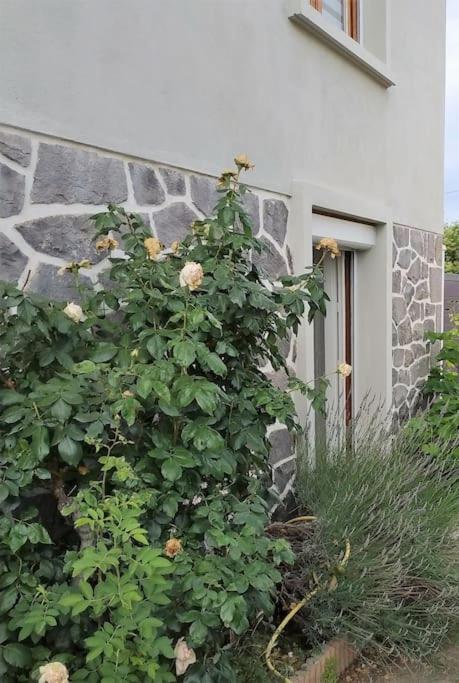 Grand Studio Avec Jardin Et Entree Privative A Noter Reservations De 3 Nuits Minimum Клермон-Ферран Екстер'єр фото